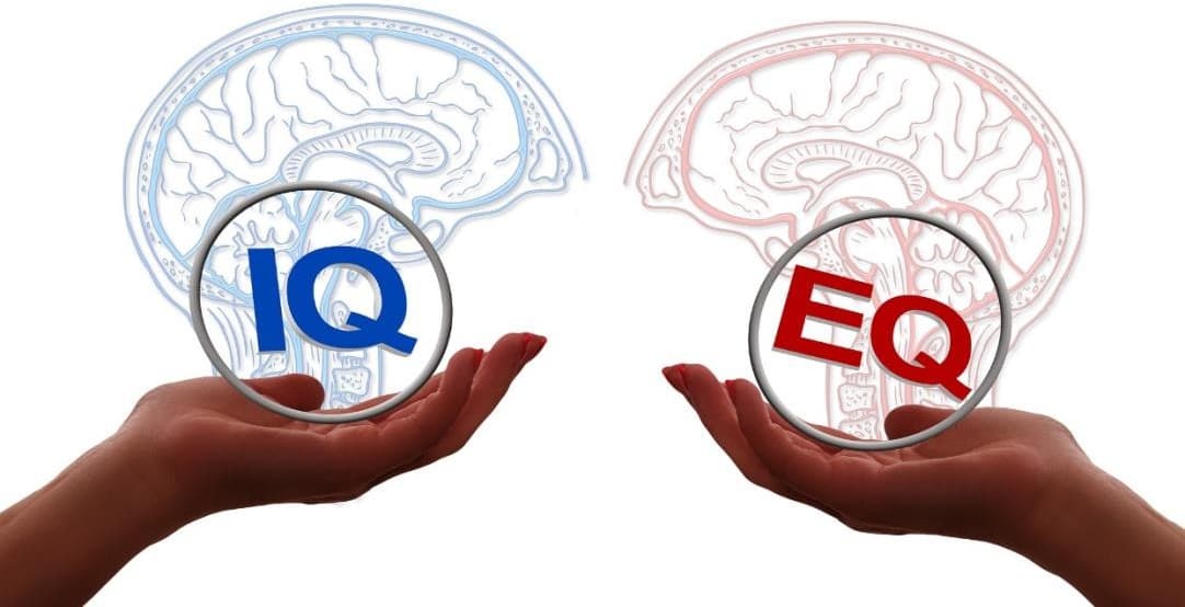 Günümüzün Popüler Kavramlarından Biri EQ(Duygusal Zeka) Nedir?