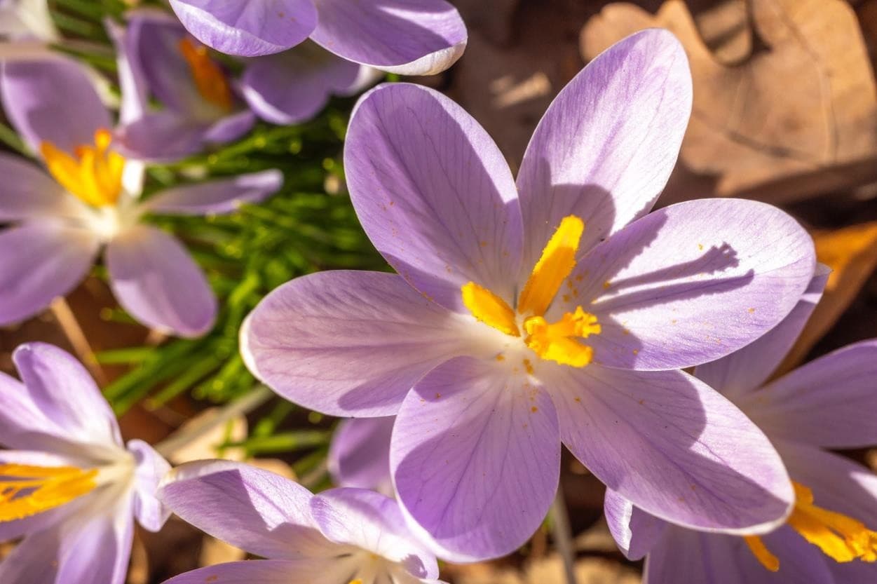 ADIM ADIM ULAŞILIR BAZI ŞEYLERE